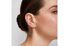  Wanderer - Ear studs - Silver / 14kt GP - Zirconia